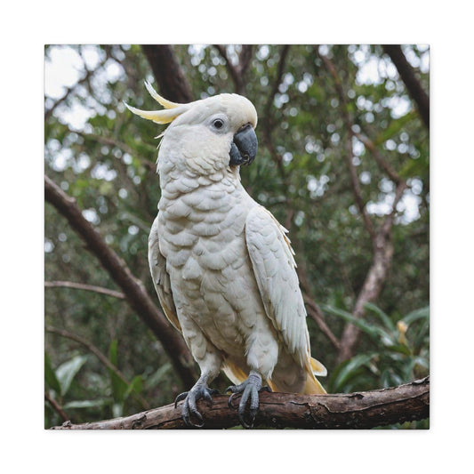 Cockatoo (4) - Great Pictures Framed
