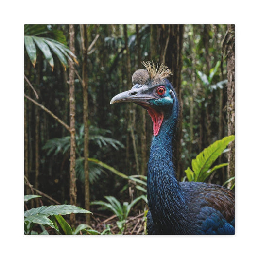 Cassowary (2) - Great Pictures Framed