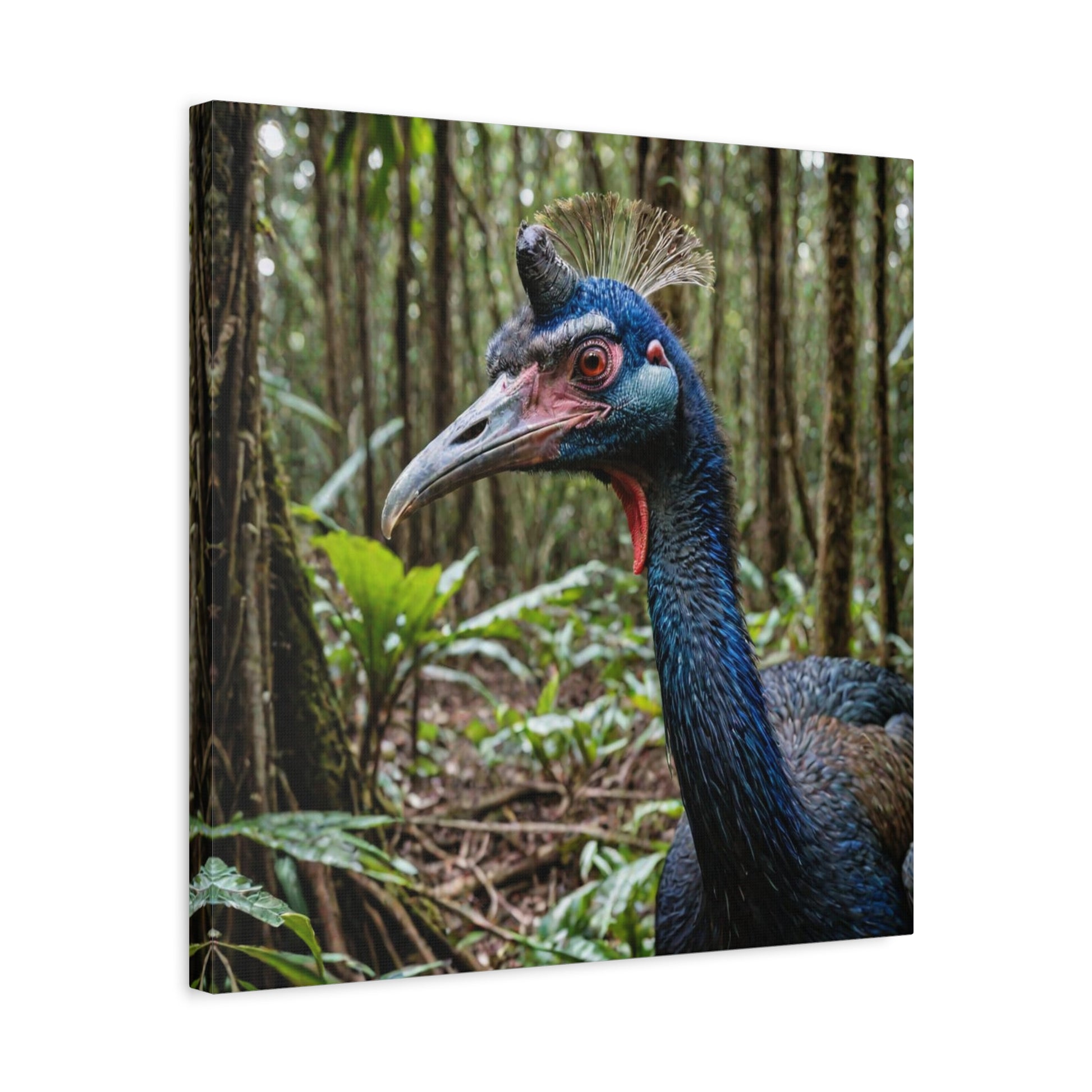 Cassowary (1) - Great Pictures Framed