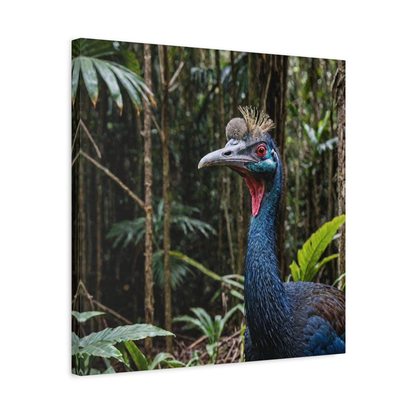 Cassowary (2) - Great Pictures Framed