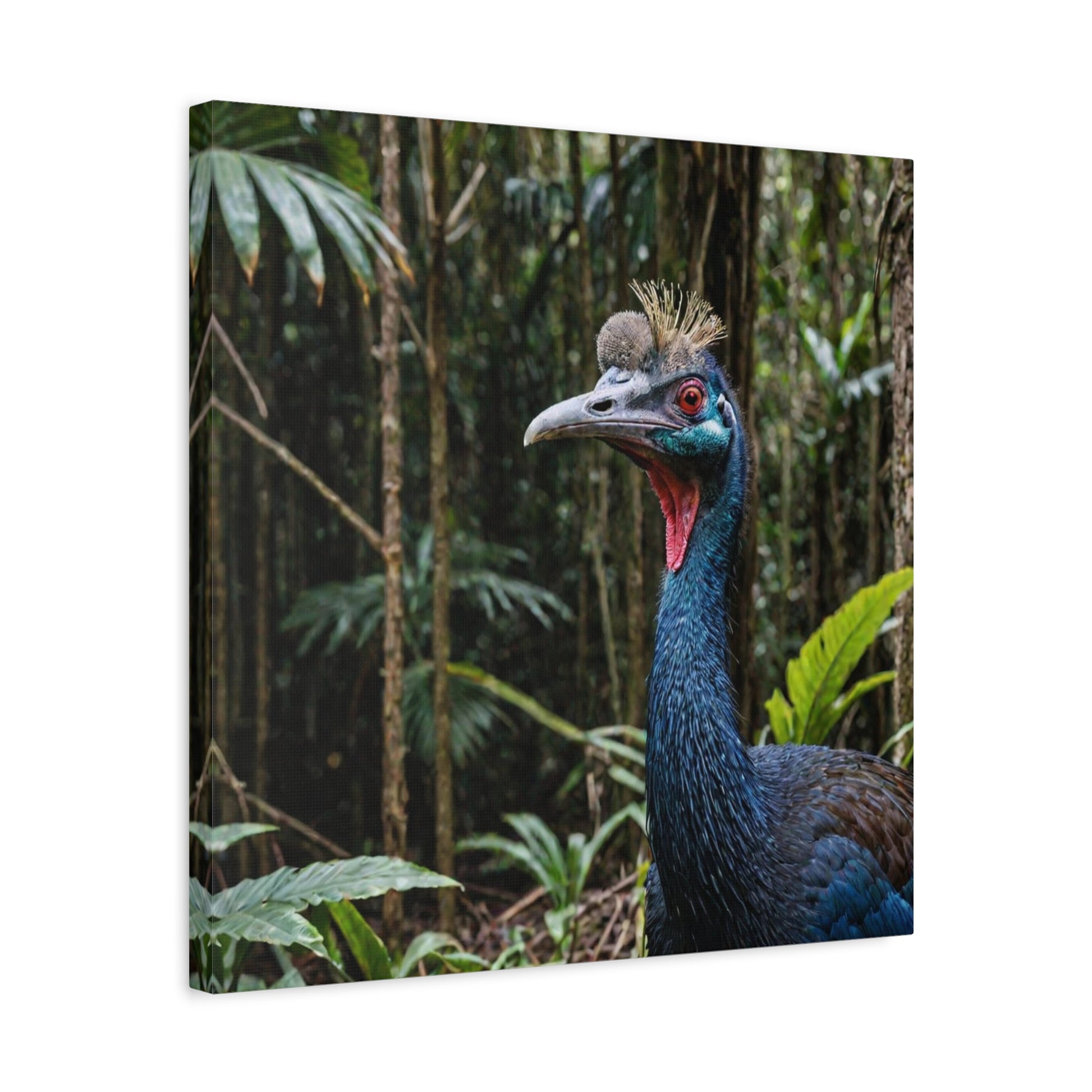 Cassowary (2) - Great Pictures Framed
