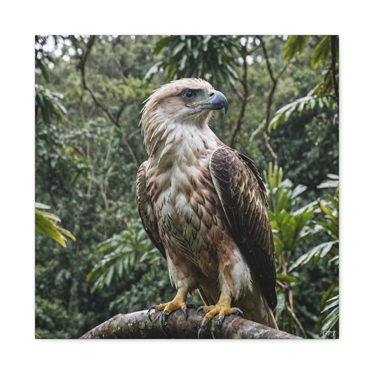 Philippine Eagle (0068) - Great Pictures Framed