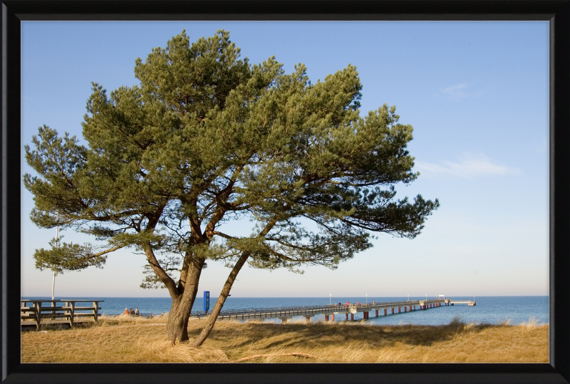 Seebruecke Prerow - Great Pictures Framed