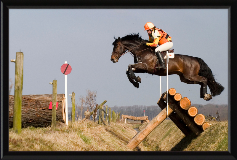 A Horse Handling a Ditch in a Steeple Chase - Great Pictures Framed