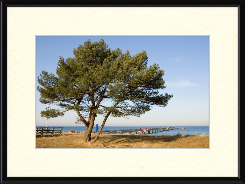 Seebruecke Prerow - Great Pictures Framed