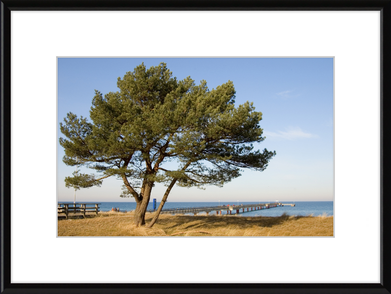 Seebruecke Prerow - Great Pictures Framed