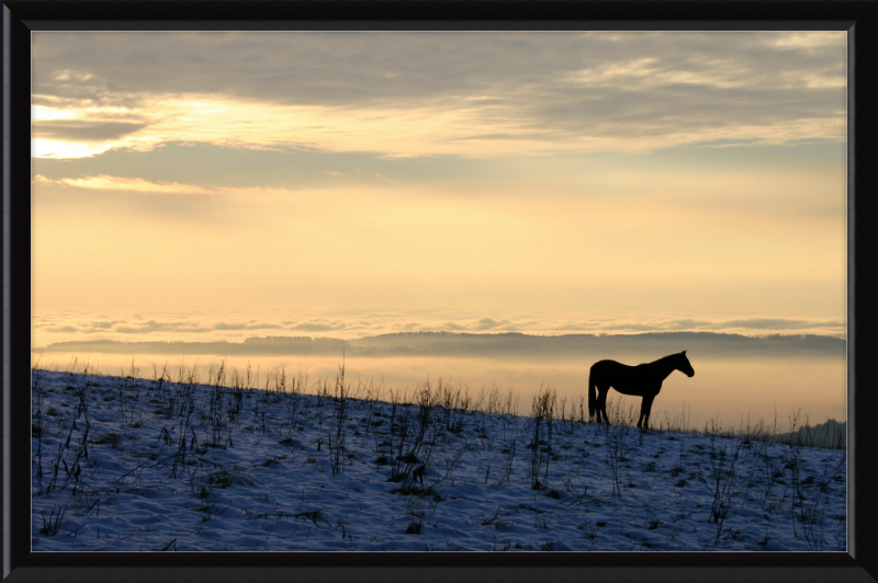 On the Hill of Gehrenberg - Great Pictures Framed