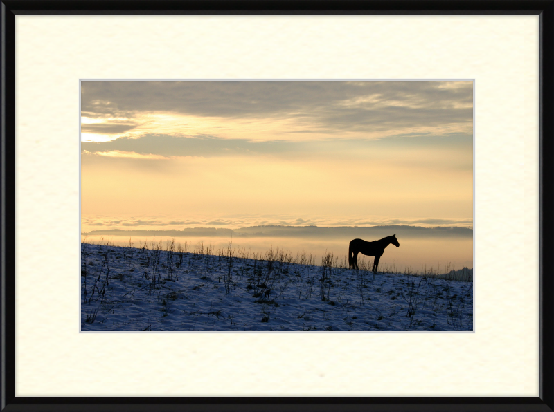 On the Hill of Gehrenberg - Great Pictures Framed