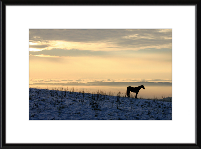 On the Hill of Gehrenberg - Great Pictures Framed