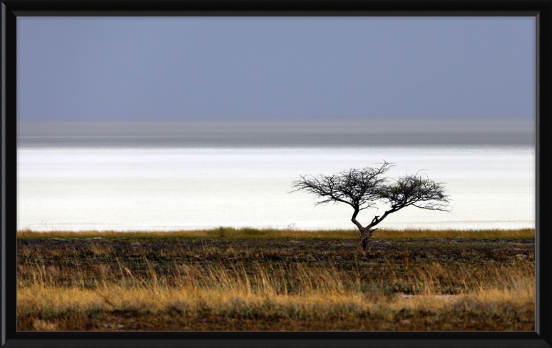 Namibia's Dry Etosha Pan - Great Pictures Framed