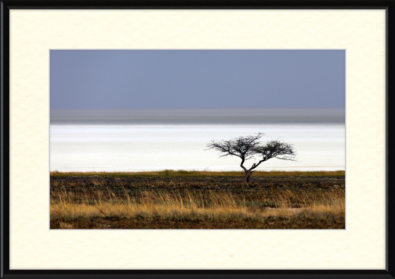 Namibia's Dry Etosha Pan - Great Pictures Framed