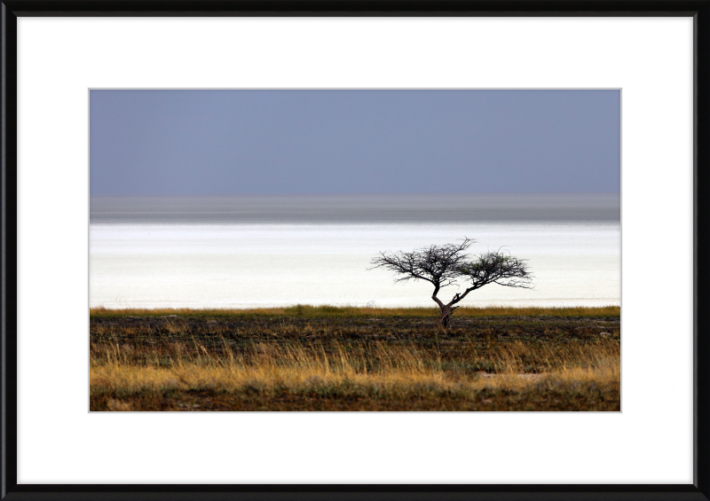 Namibia's Dry Etosha Pan - Great Pictures Framed