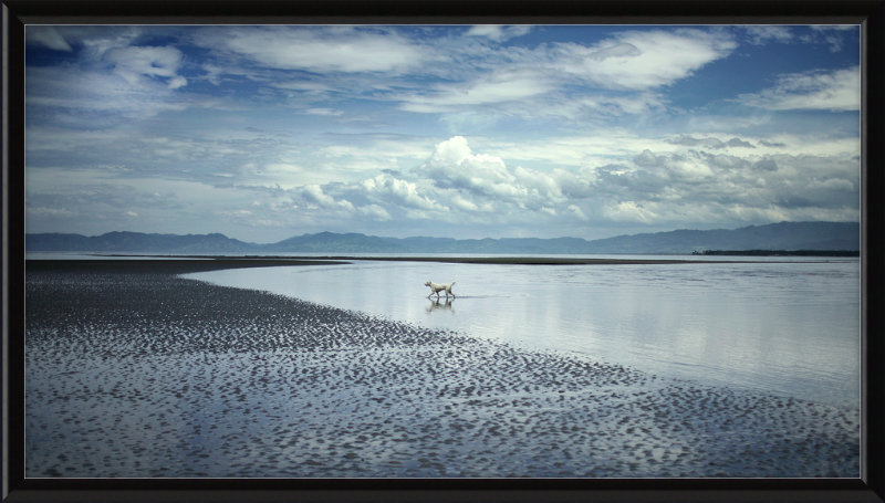 Seascape in Mindanao, Philippines, At Low Tide - Great Pictures Framed