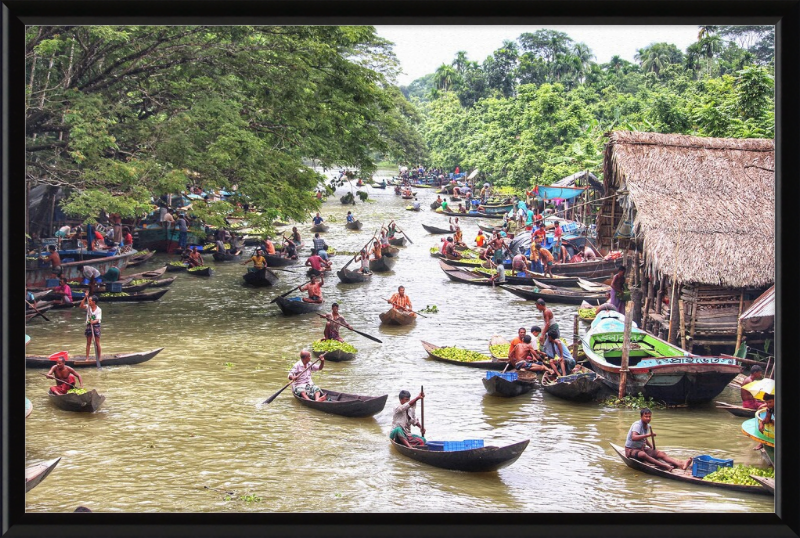 Floating Guava Market - Great Pictures Framed
