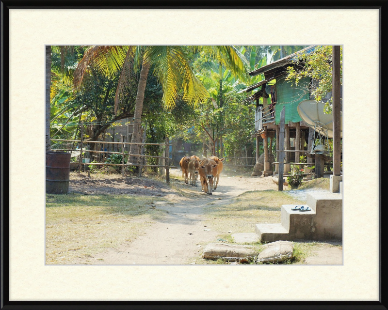 Ile de KHONG in Laos - Great Pictures Framed