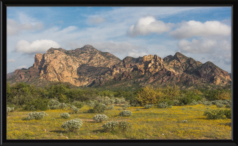 San Carlos Sonora Landscape - Great Pictures Framed