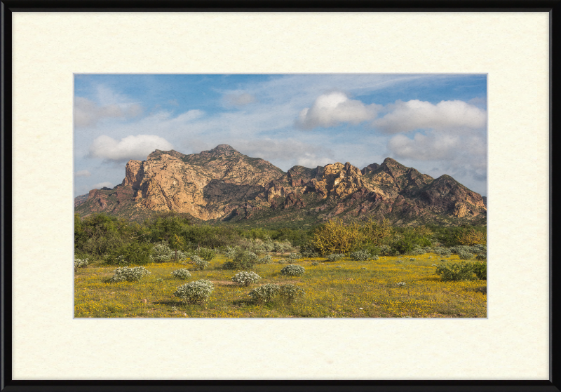 San Carlos Sonora Landscape - Great Pictures Framed