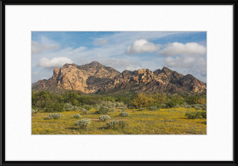 San Carlos Sonora Landscape - Great Pictures Framed