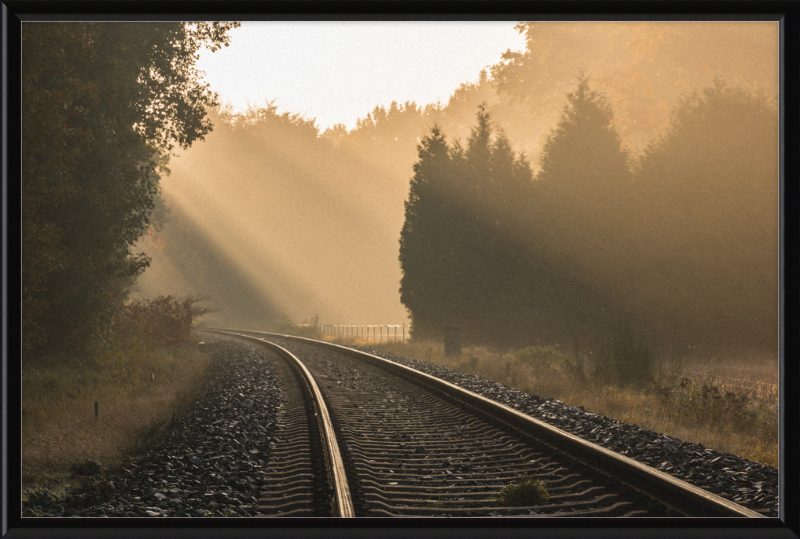 A Track in Börnste - Great Pictures Framed