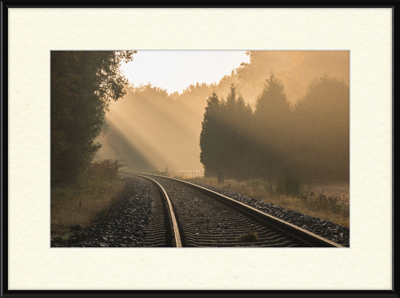 A Track in Börnste - Great Pictures Framed