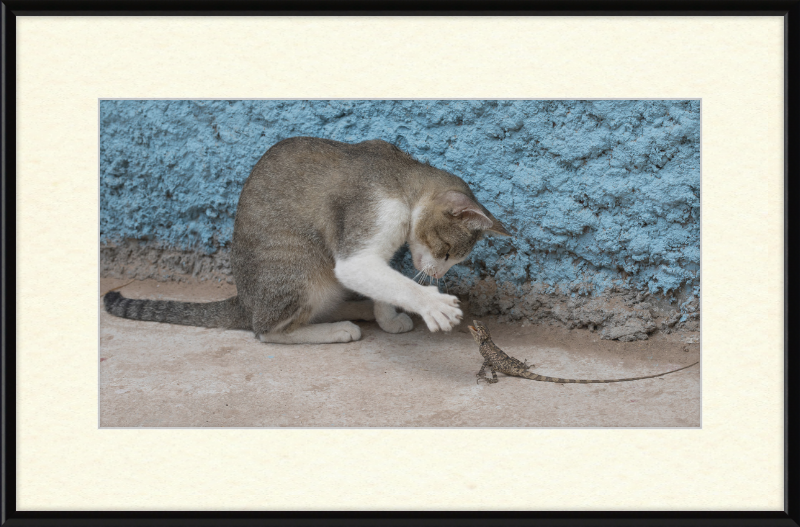 The Cat and the Lizard - Great Pictures Framed