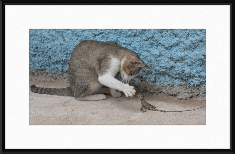 The Cat and the Lizard - Great Pictures Framed