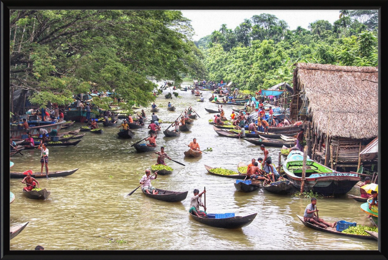 Floating Guava Market - Great Pictures Framed