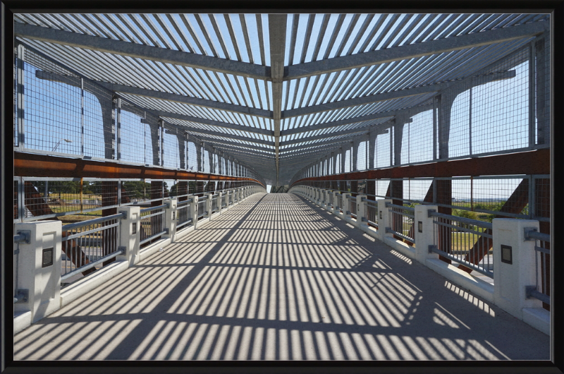 Pedestrian Bridge - University of North Texas - Great Pictures Framed