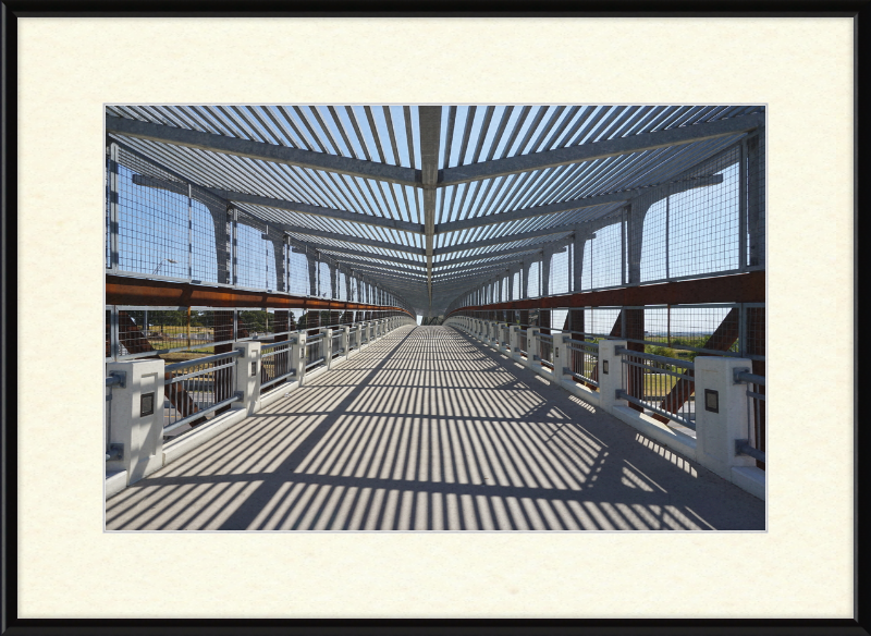 Pedestrian Bridge - University of North Texas - Great Pictures Framed