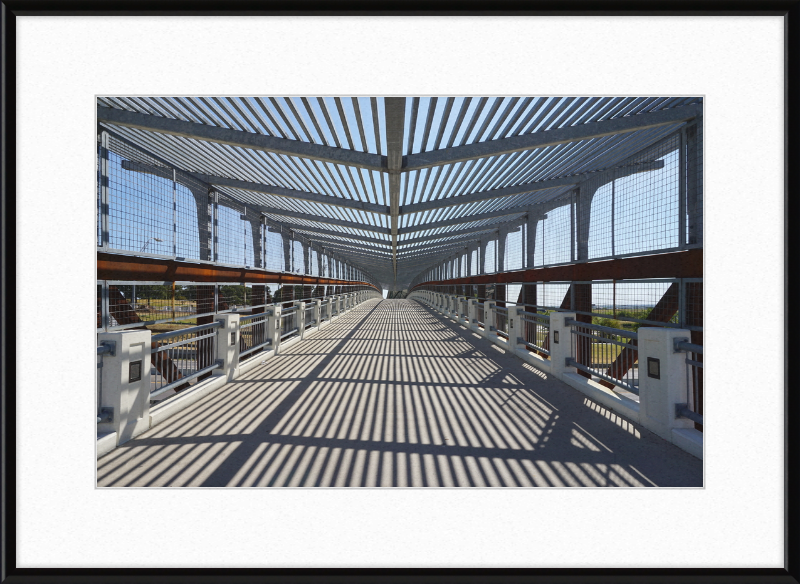 Pedestrian Bridge - University of North Texas - Great Pictures Framed