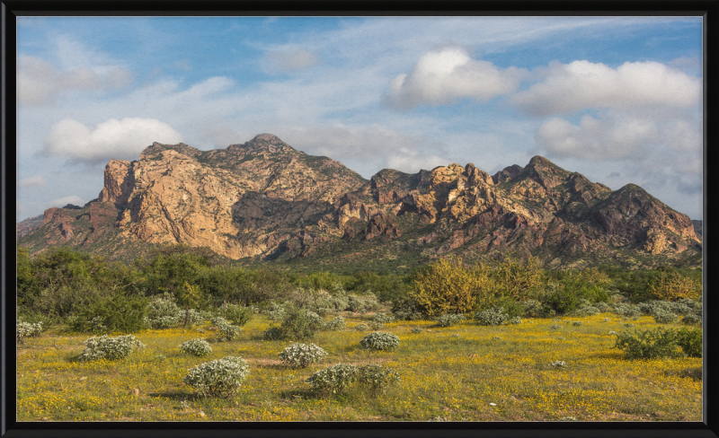 San Carlos Sonora Landscape - Great Pictures Framed
