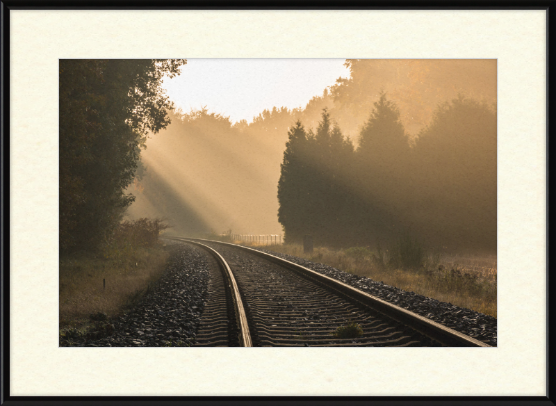 A Track in Börnste - Great Pictures Framed