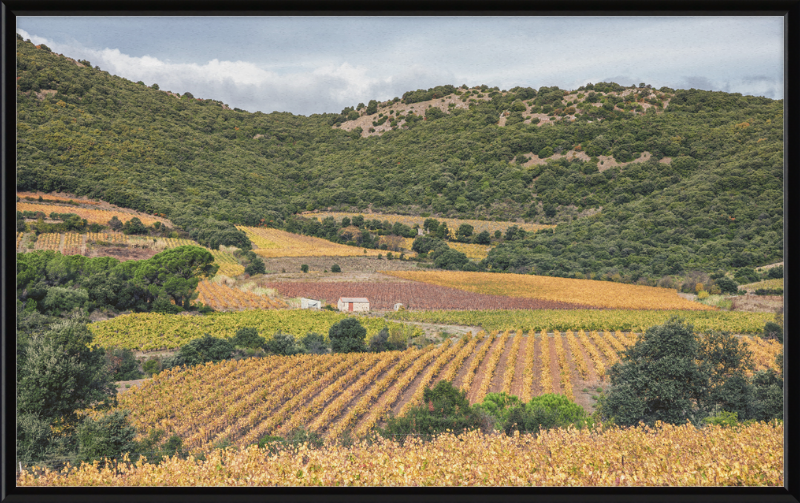 Vineyards Near the Pic de Vissou - Great Pictures Framed