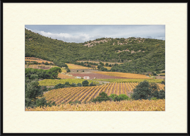 Vineyards Near the Pic de Vissou - Great Pictures Framed