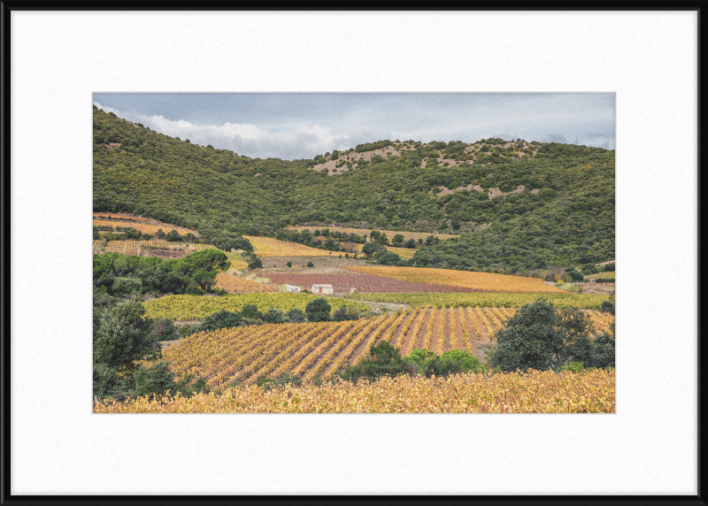 Vineyards Near the Pic de Vissou - Great Pictures Framed