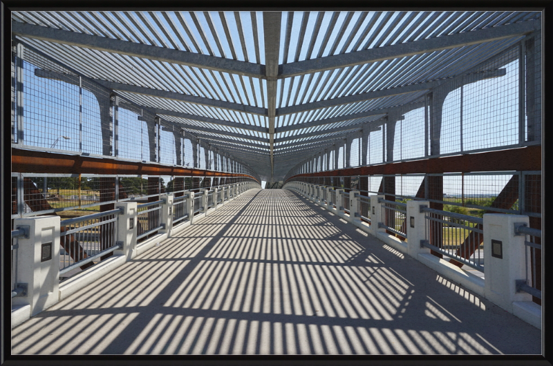 Pedestrian Bridge - University of North Texas - Great Pictures Framed
