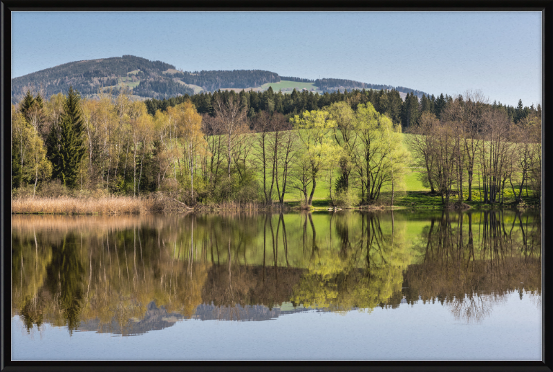 North Shore of Dietrichstein Sea - Great Pictures Framed