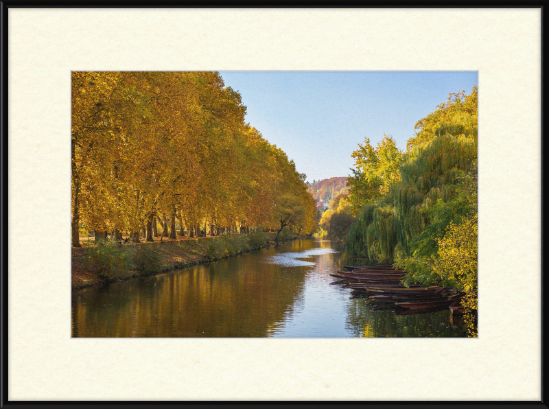 Tübingen - Neckarinsel - View along the Neckar in Autumn - Great Pictures Framed