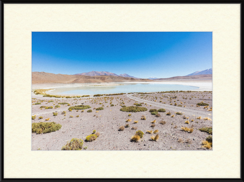 Laguna Honda, Bolivia - Great Pictures Framed
