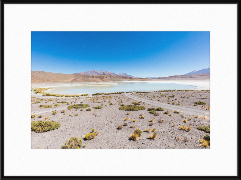 Laguna Honda, Bolivia - Great Pictures Framed