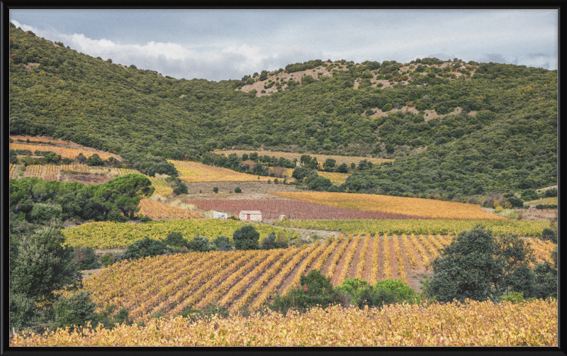 Vineyards Near the Pic de Vissou - Great Pictures Framed