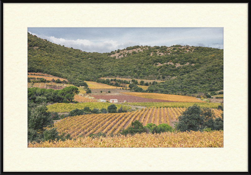 Vineyards Near the Pic de Vissou - Great Pictures Framed