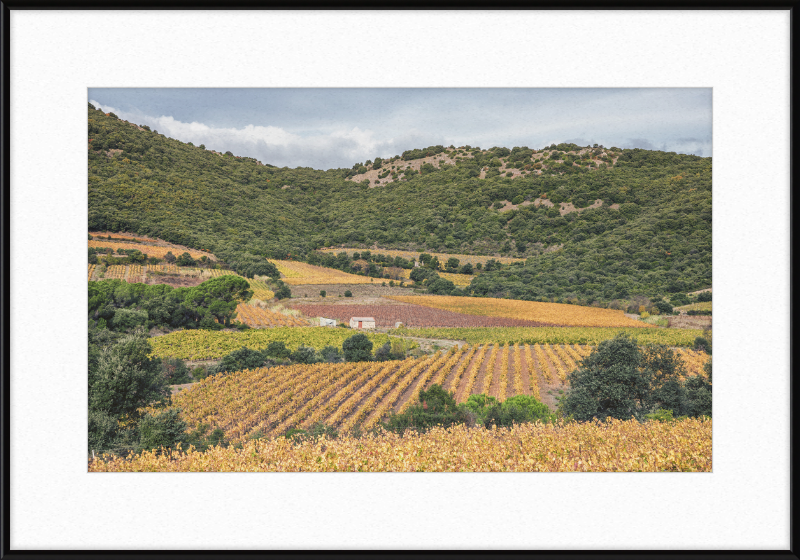 Vineyards Near the Pic de Vissou - Great Pictures Framed