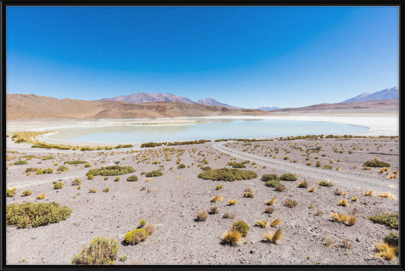 Laguna Honda, Bolivia - Great Pictures Framed
