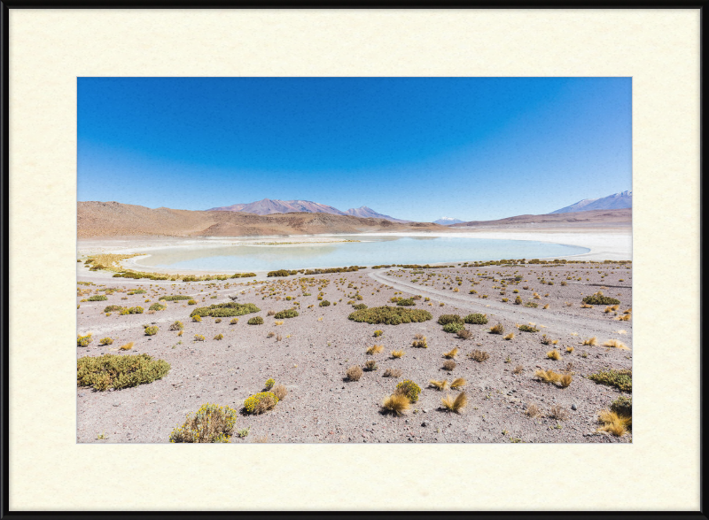 Laguna Honda, Bolivia - Great Pictures Framed