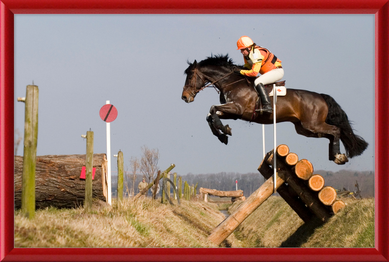 A Horse Handling a Ditch in a Steeple Chase - Great Pictures Framed