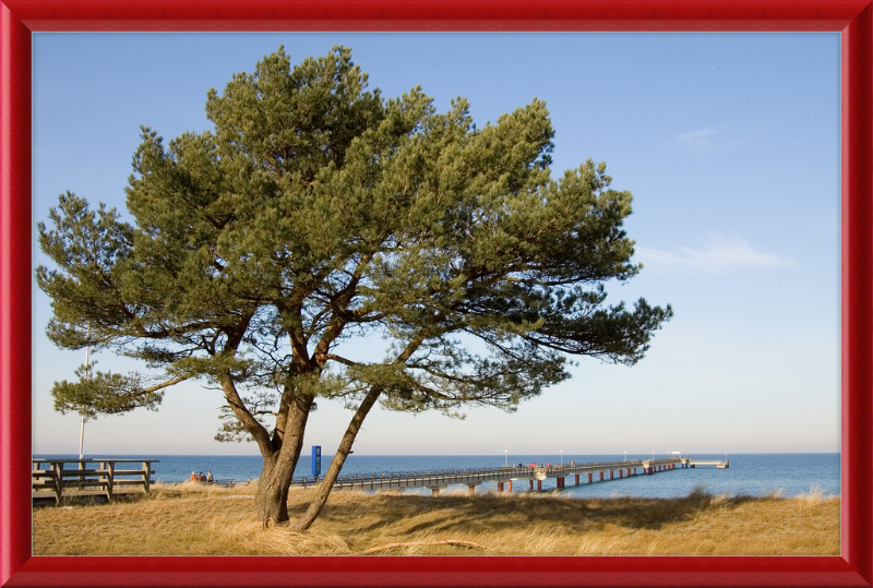 Seebruecke Prerow - Great Pictures Framed