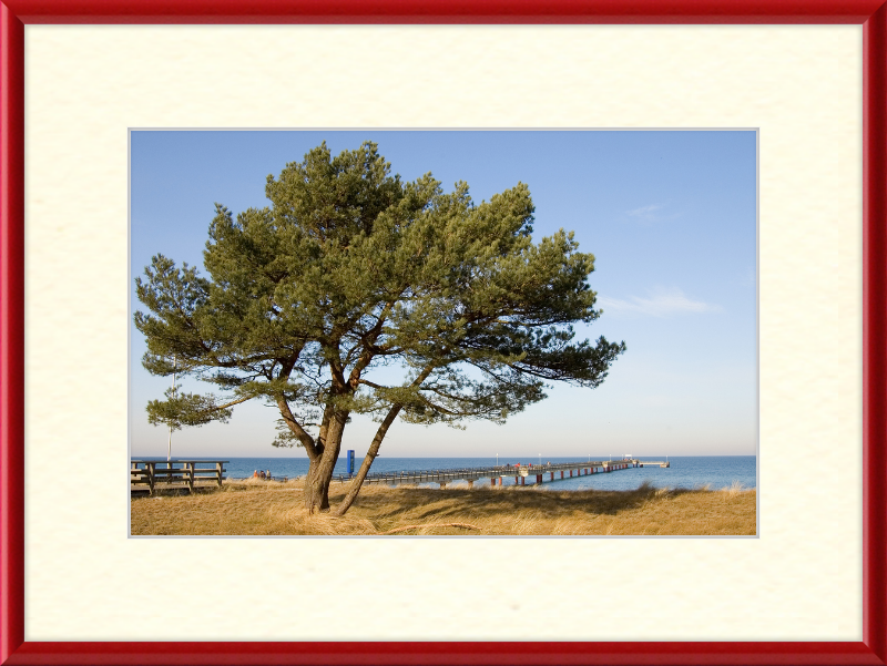 Seebruecke Prerow - Great Pictures Framed