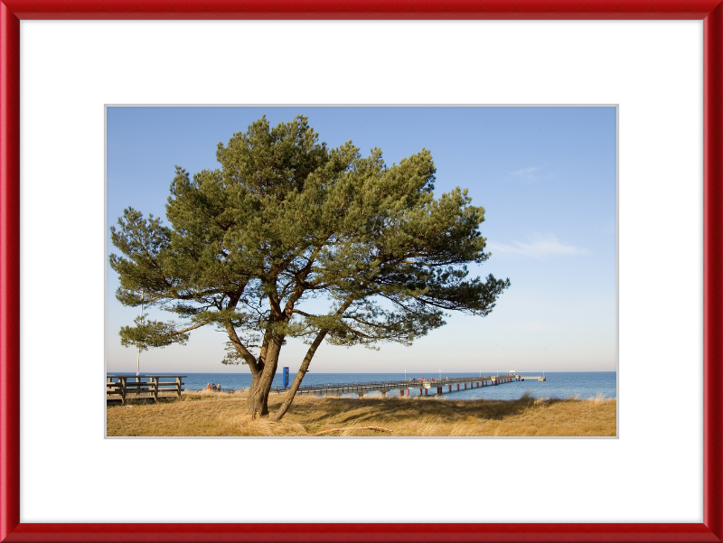 Seebruecke Prerow - Great Pictures Framed