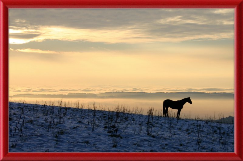 On the Hill of Gehrenberg - Great Pictures Framed